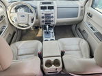 Ford Escape 2008