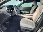 Lexus RX 2024