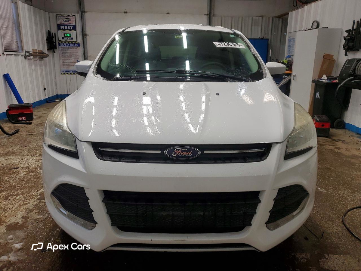 Ford Escape 2013