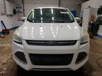 Ford Escape 2013