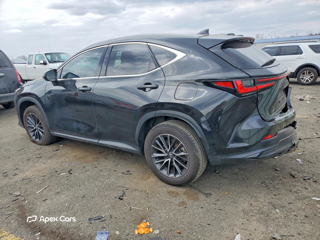 Lexus NX 2025
