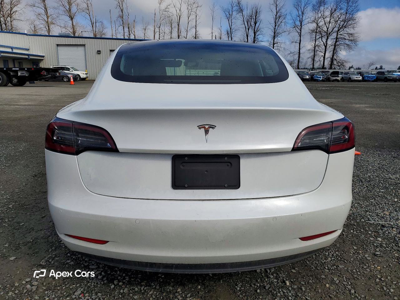Tesla Model 3 2020