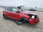 Ford Escape 2016