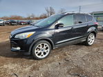 Ford Escape 2013