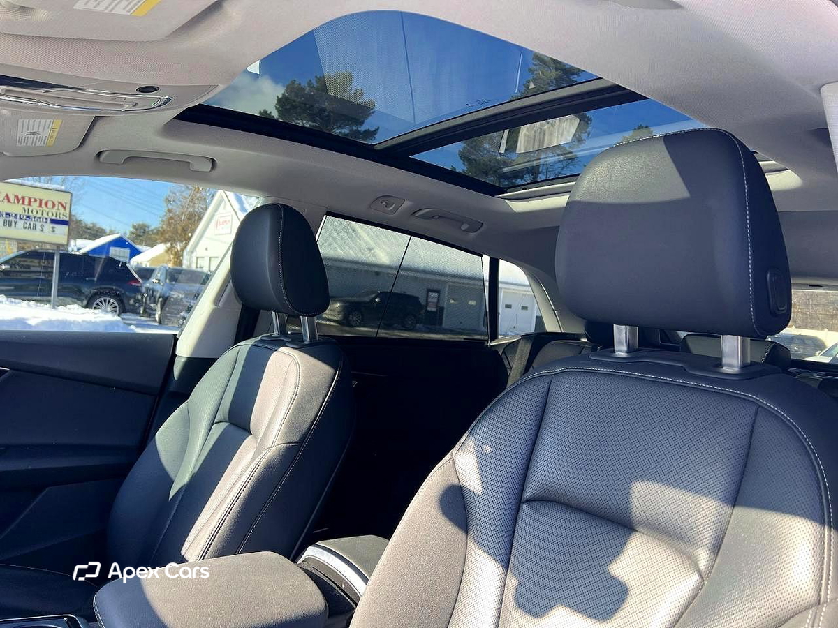Audi Q8 2019