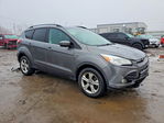 Ford Escape 2013