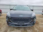 Ford Escape 2020