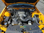 Ford Mustang 2007