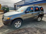 Ford Escape 2005