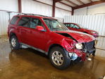 Ford Escape 2010
