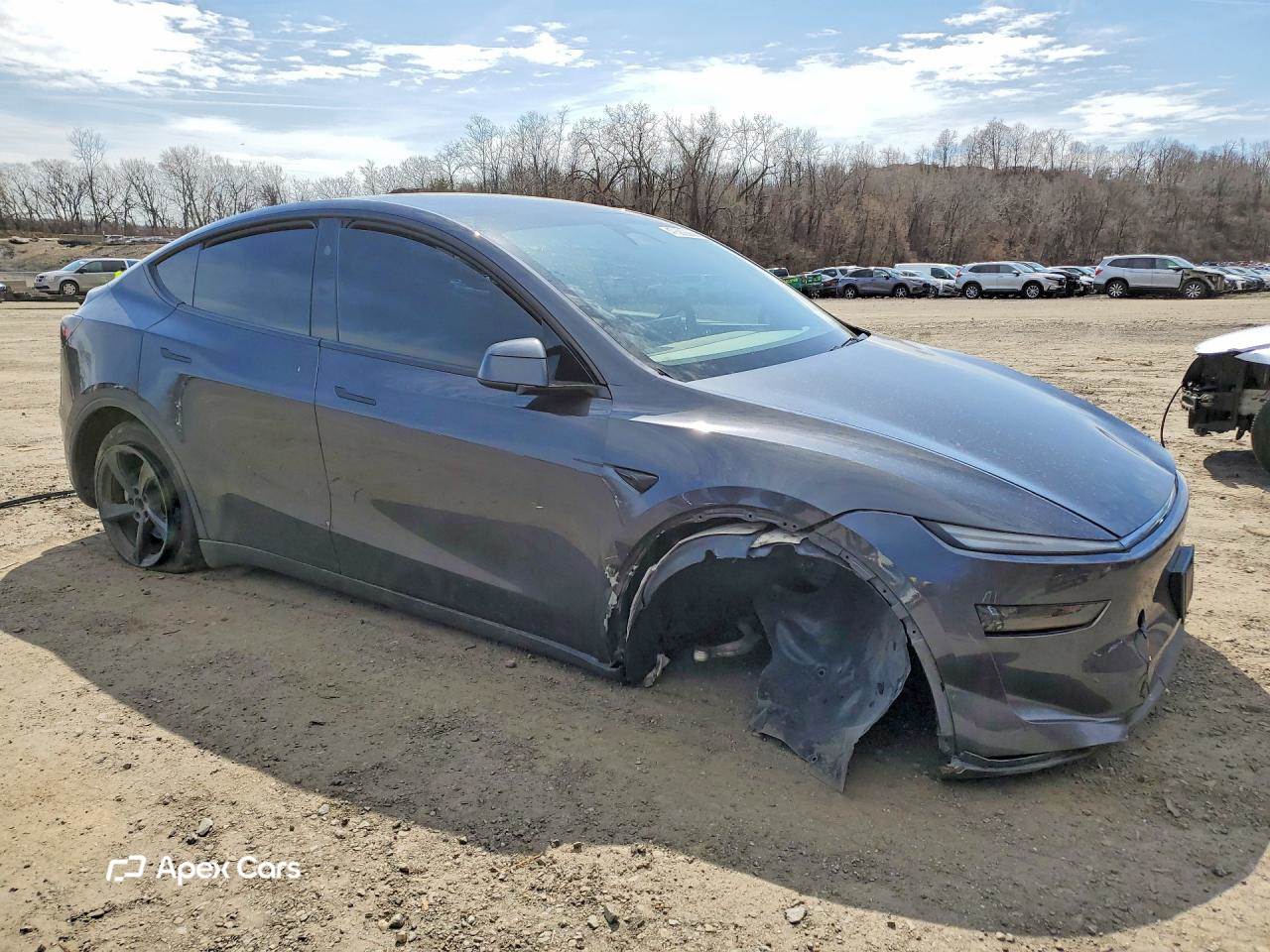 Tesla Model Y 2026