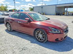 Nissan Maxima 2013