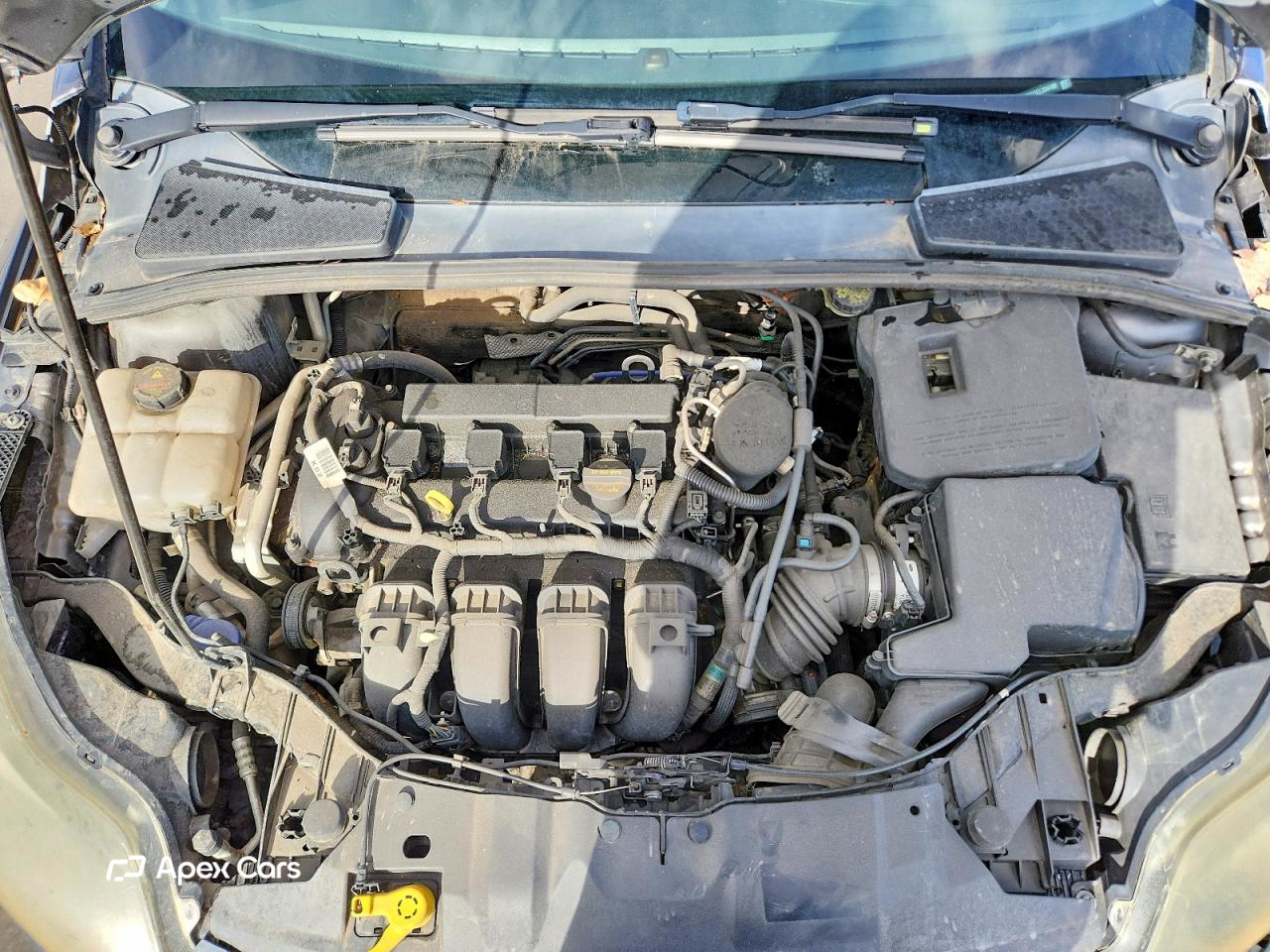Ford Focus 2012