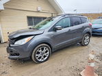 Ford Escape 2013