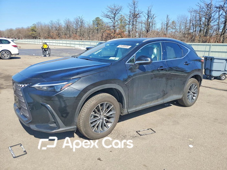 Lexus NX 2026 - Image 1 of 14
