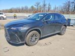 Lexus NX 2026