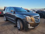 Cadillac Escalade 2020