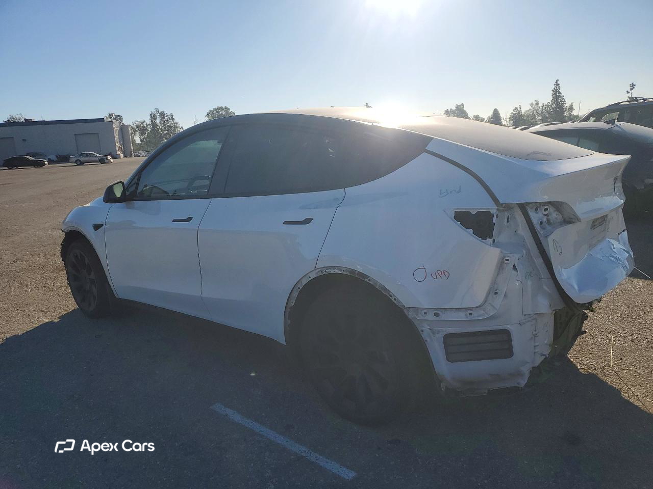 Tesla Model Y 2020