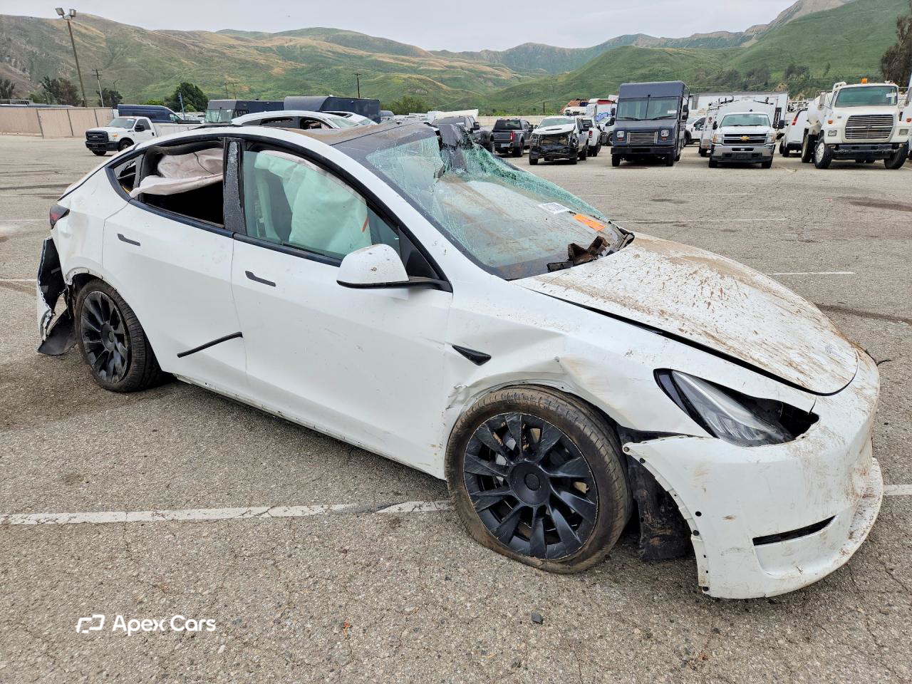 Tesla Model Y 2020