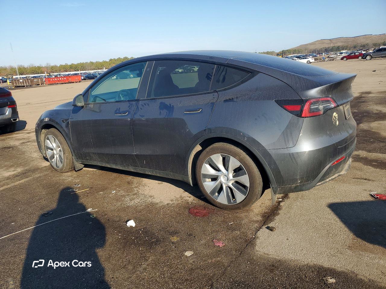 Tesla Model Y 2021