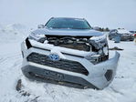 Toyota RAV 4 2024