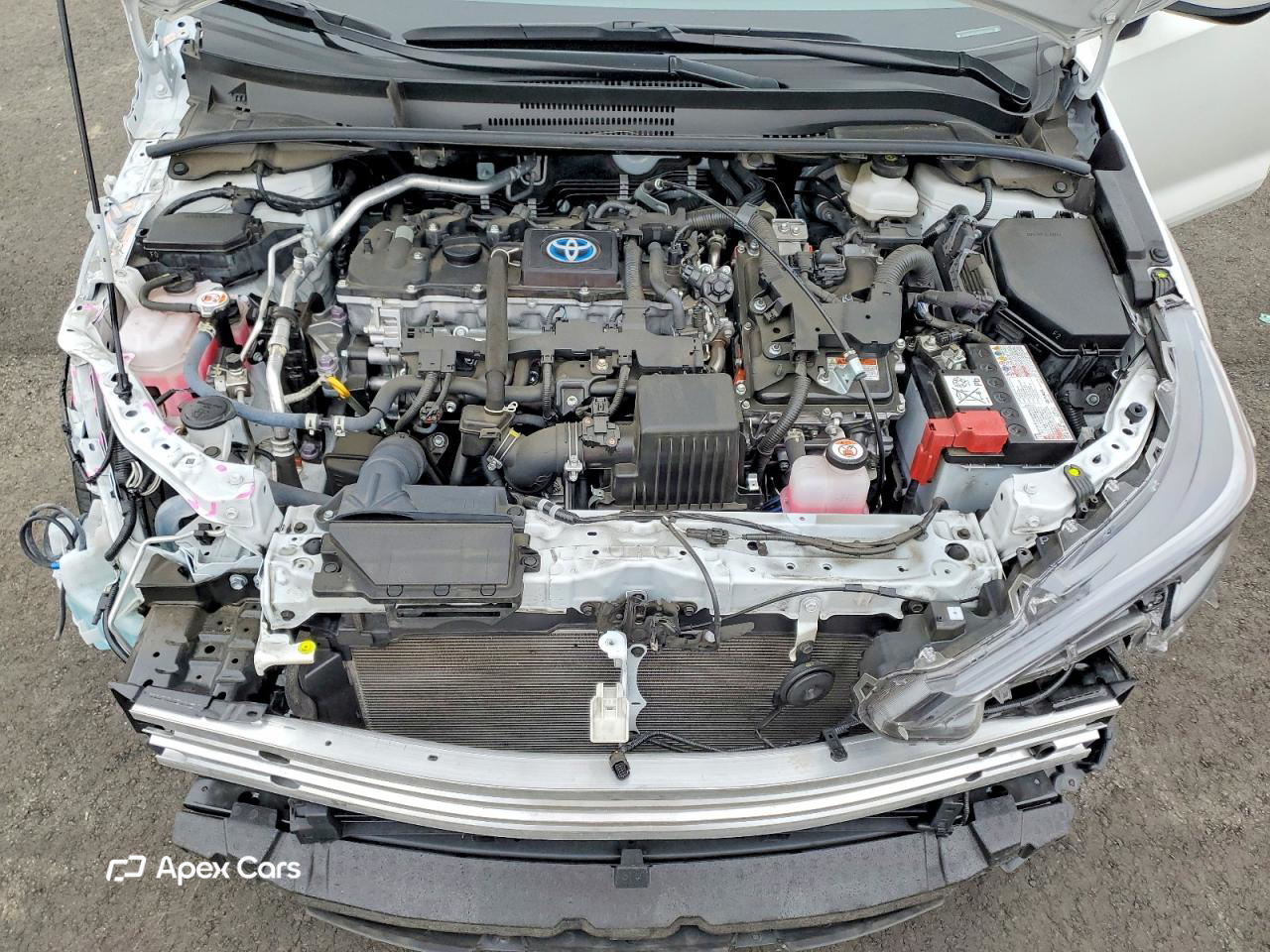 Toyota Corolla 2023