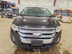 Ford Edge 2013