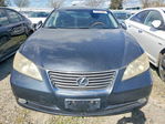 Lexus ES 2008
