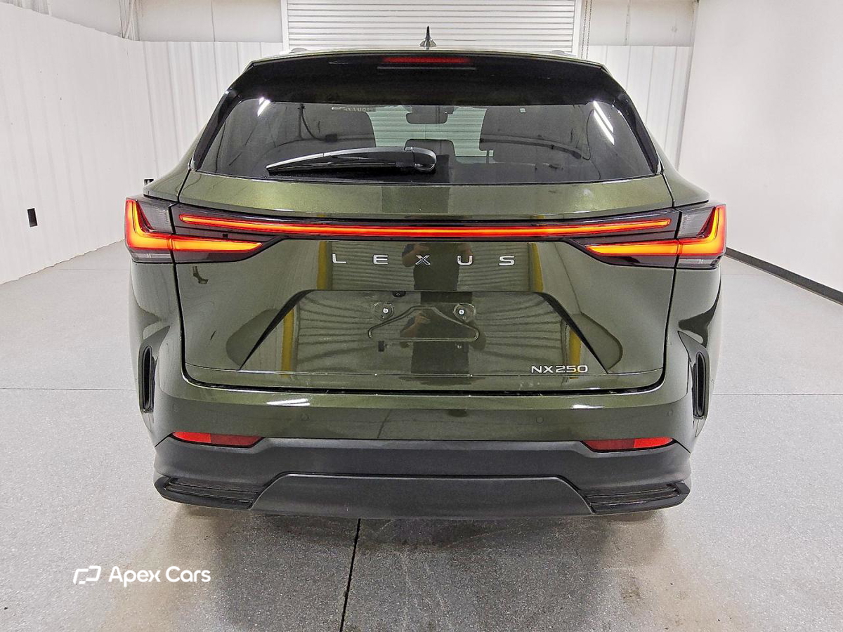 Lexus NX 2025