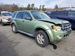 Ford Escape 2008