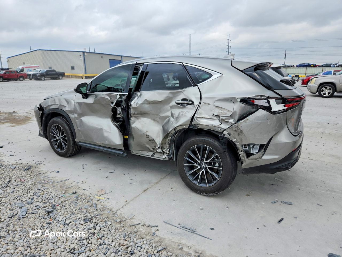 Lexus NX 2024