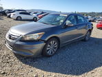 Honda Accord 2011