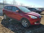 Ford Escape 2016