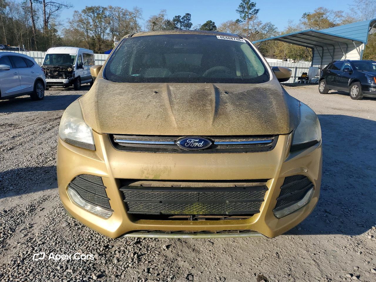Ford Escape 2014