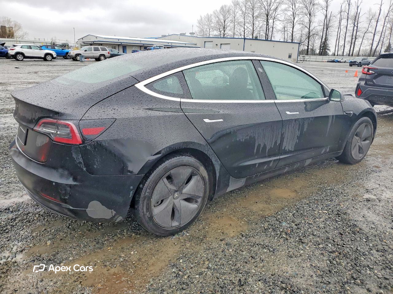 Tesla Model 3 2019