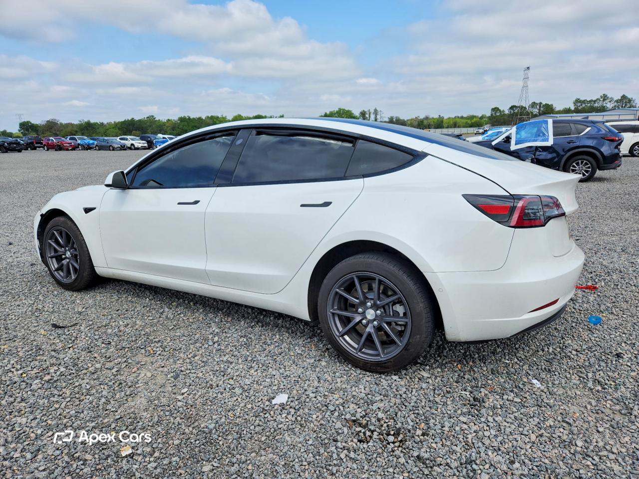 Tesla Model 3 2021