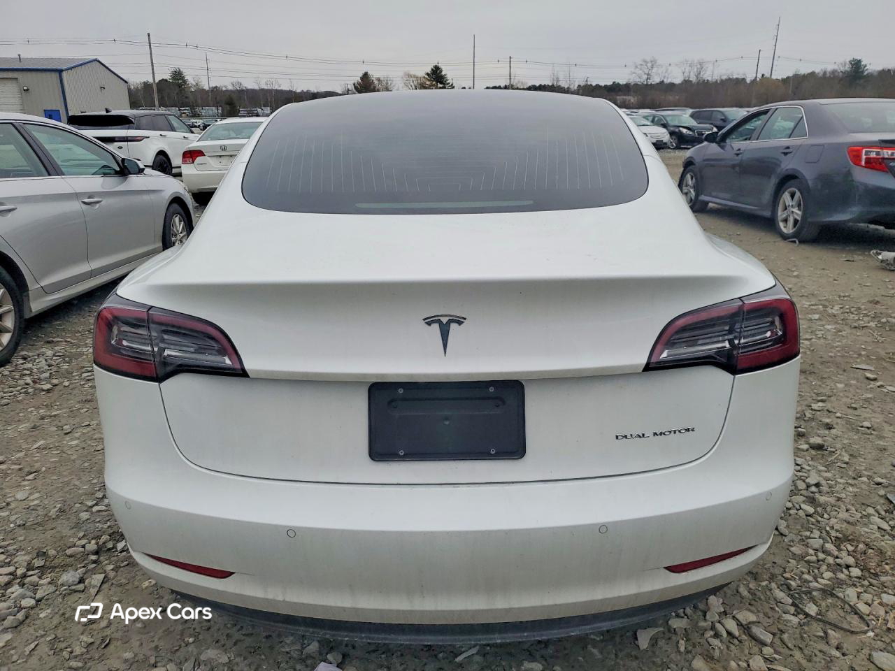 Tesla Model 3 2019