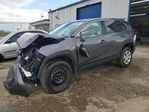 Toyota RAV 4 2023