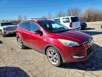 Ford Escape 2014