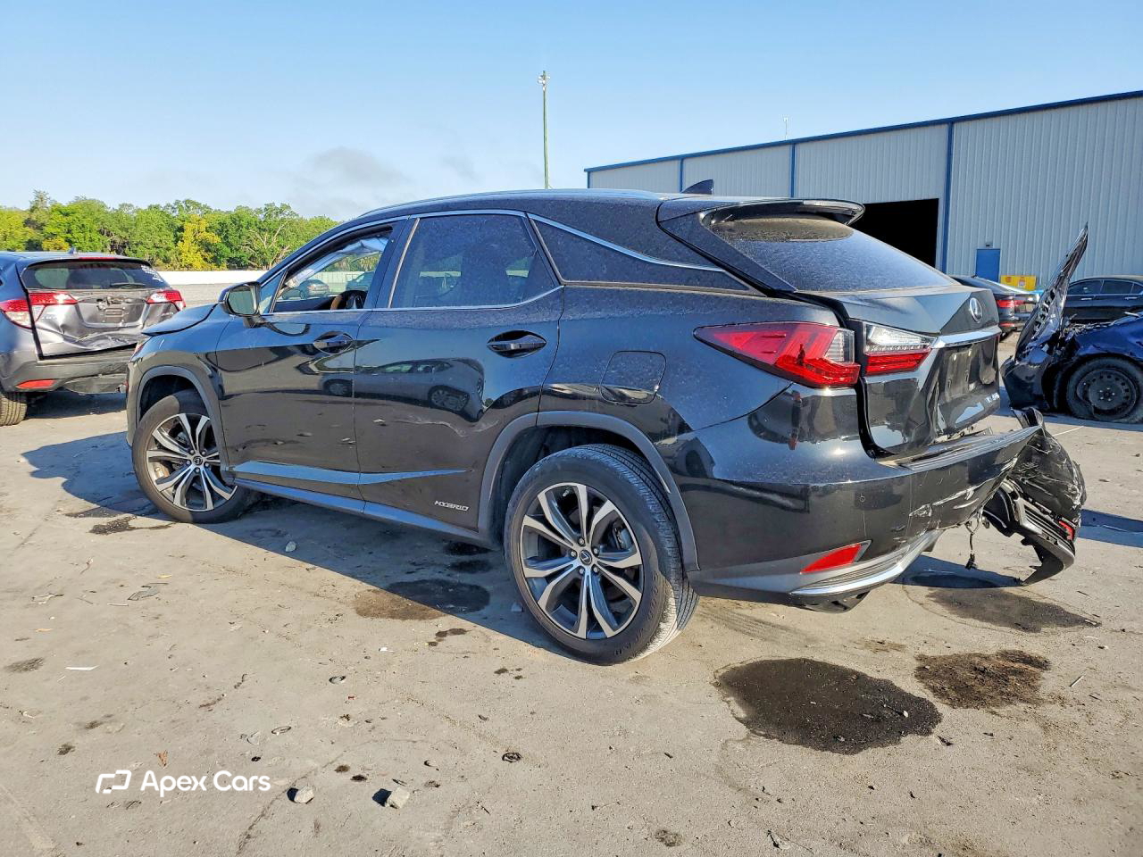 Lexus RX 2020
