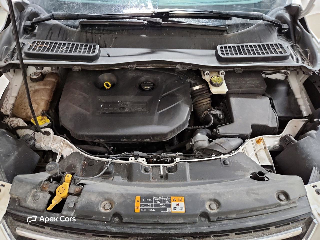 Ford Escape 2013
