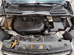 Ford Escape 2013
