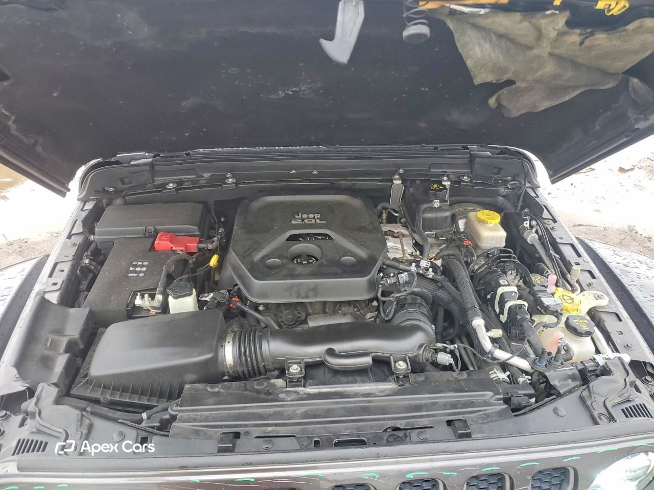 Jeep Wrangler 2019