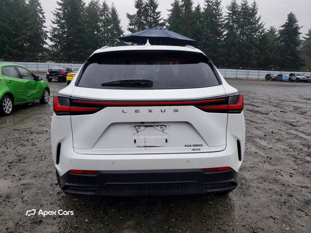 Lexus NX 2024