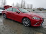 Lexus ES 2025