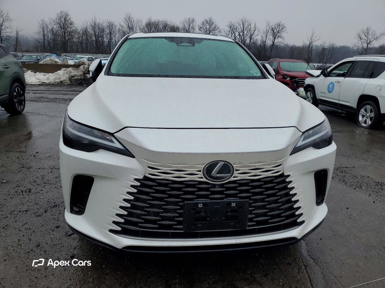 Lexus RX 2024