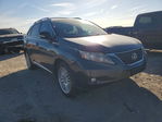 Lexus RX 2011