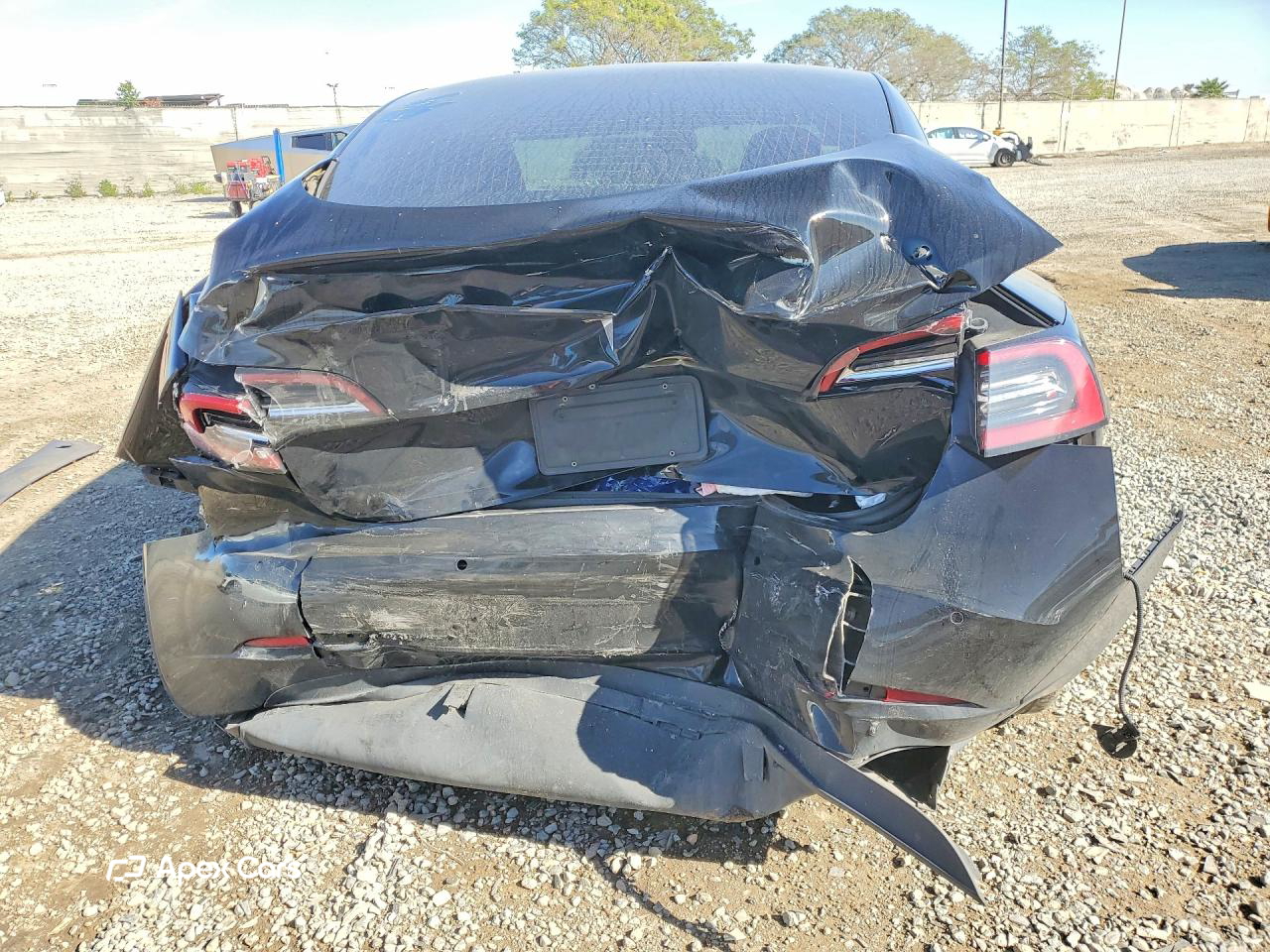 Tesla Model 3 2019