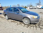 Ford Focus 2011