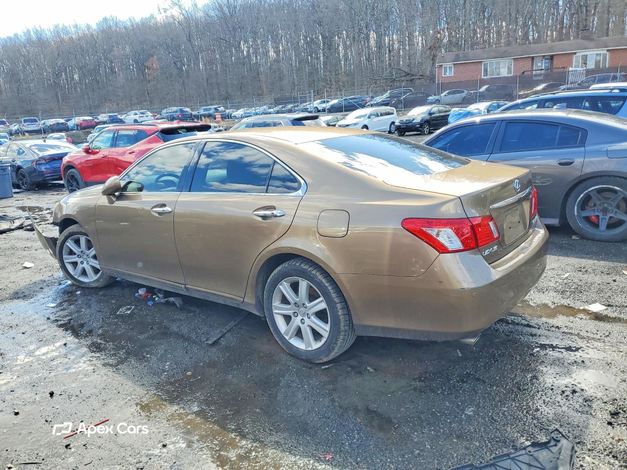 Lexus ES 2008